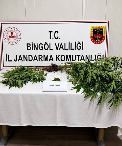 Bingöl'de kesinleşmiş hapis cezası bulunan 6 zanlı yakalandı