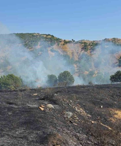 Bingöl'de kırsal alanda çıkan yangın söndürüldü