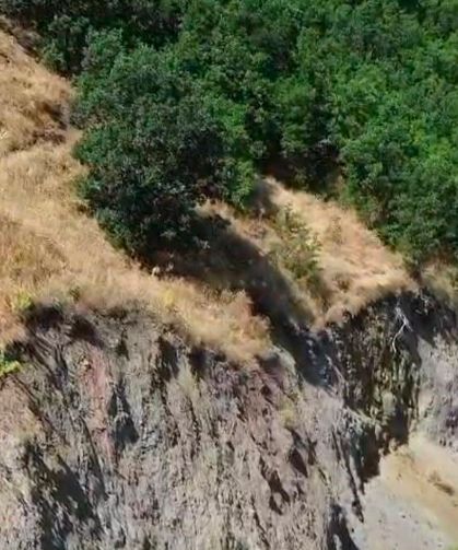 Bingöl'de nesli tükenme tehlikesi altında dağ keçisi görüntülendi