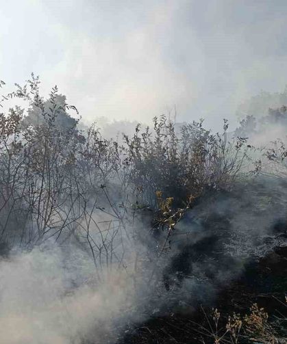 Bingöl'de orman ve mera yangınları söndürüldü