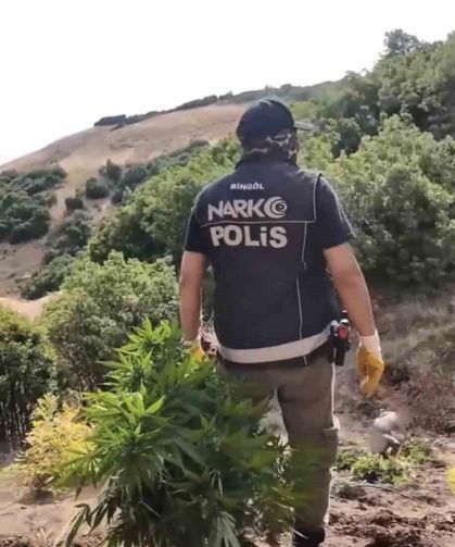 Bingöl'de uyuşturucu operasyonu: 3 şüpheli tutuklandı