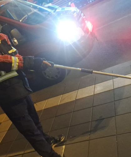Cami bahçesine giren yılan itfaiye ekiplerince yakalandı
