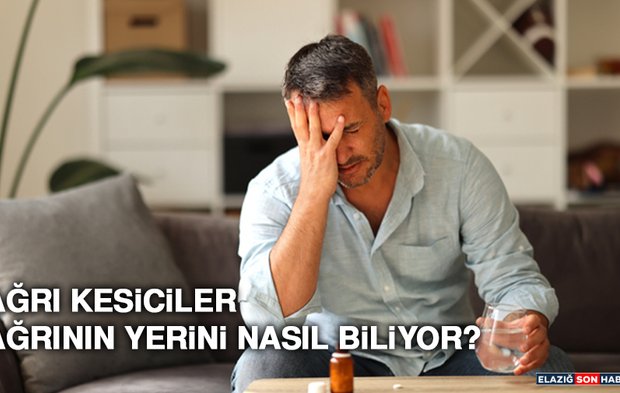 Ağrı Kesiciler Ağrının Yerini Nasıl Biliyor?