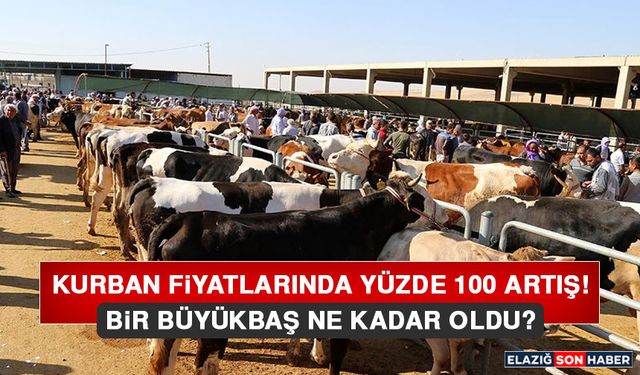 Kurban Fiyatlarında Yüzde 100 Artış!