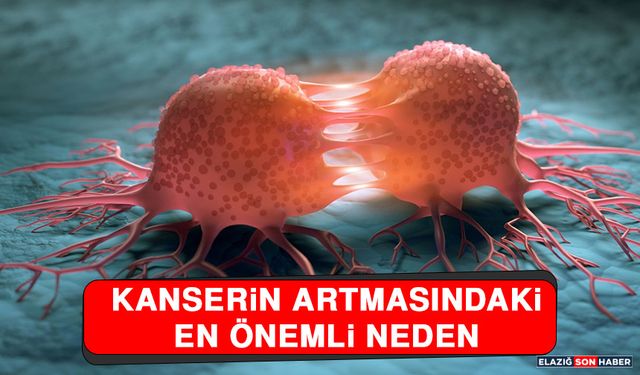 Kanserin Artmasındaki En Önemli Neden