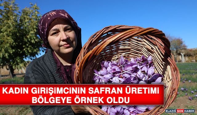 Kadın Girişimcinin Safran Üretimi Bölgeye Örnek Oldu