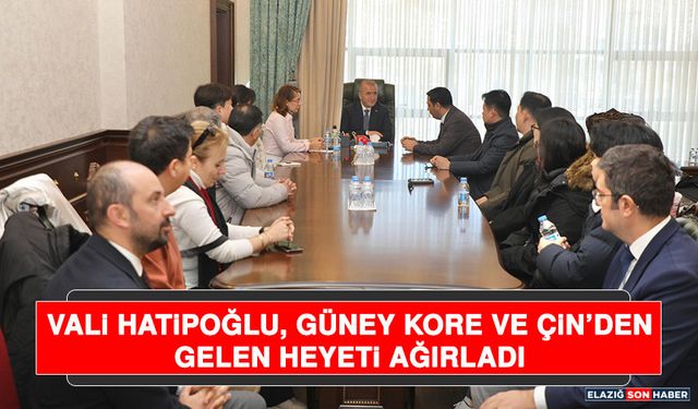 Vali Hatipoğlu, Güney Kore ve Çin’den Gelen Heyeti Ağırladı