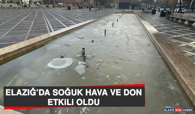 Elazığ’da Soğuk Hava ve Don Etkili Oldu