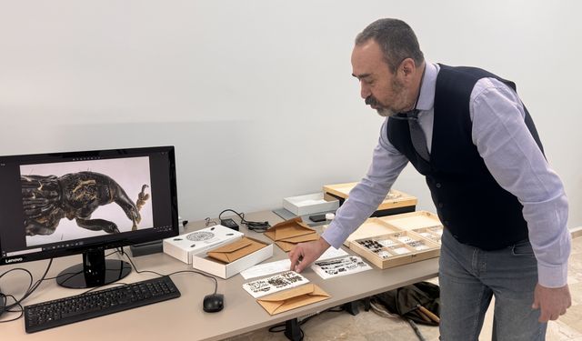 Kop Dağı'nda keşfettiği böceği meslektaşı eşinin adıyla literatüre kazandırdı