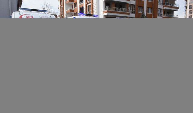 Sağlık Bakanlığınca Malatya'ya gönderilen 9 ambulans ile 6 araç hizmete alındı