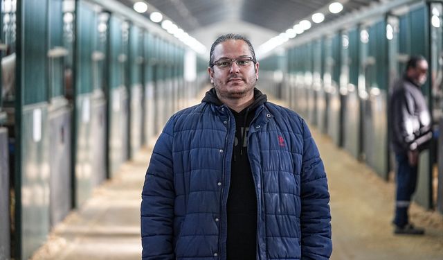 TİGEM'in 3 işletmesinde 435 tayın doğması bekleniyor