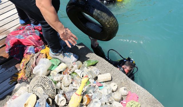 Fethiye'de deniz dibi temizliği yapıldı ve denize 20 bin balık yavrusu bırakıldı