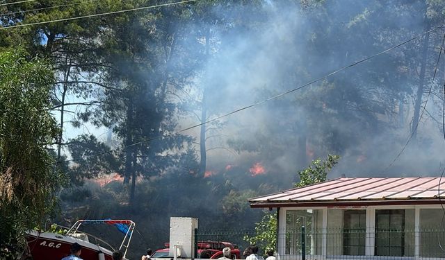 GÜNCELLEME - Marmaris'te çıkan orman yangını kontrol altına alındı