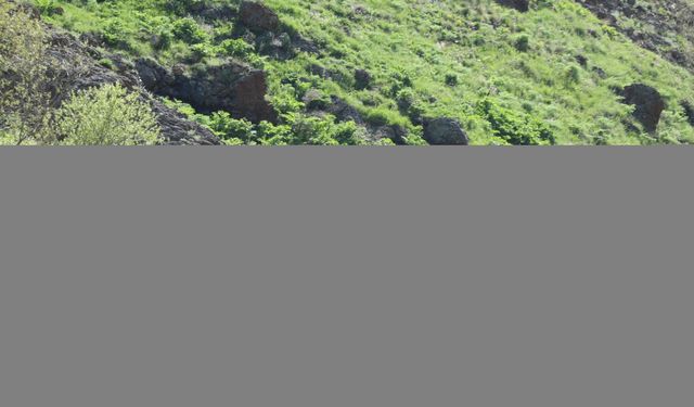 İranlı bisiklet tutkunlarının Karadeniz'i görmek için sınırları aşan macerası