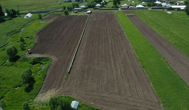 Ağrı'da mor patates üretimini 5'e katlayan girişimci çiftçilere örnek oluyor