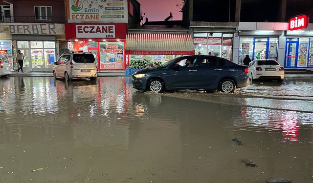 Ağrı'da sağanak yağış etkili oldu