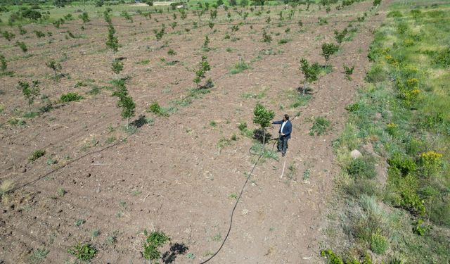 Atıl araziyi tarıma kazandıran akademisyen güneş enerjisiyle meyve ağaçları yetiştiriyor