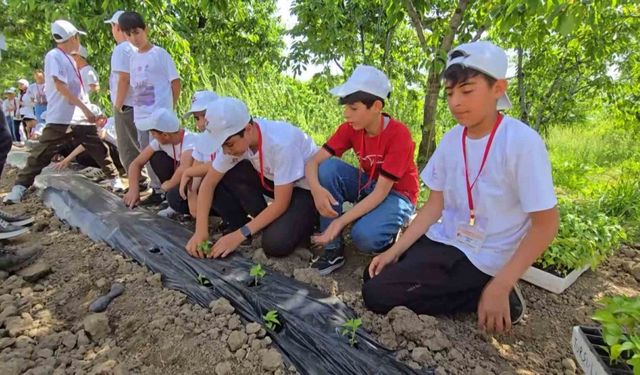 Bingöl’de TÜBİTAK 4004 başarısı