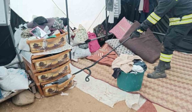 Çadıra giren yılan paniğe neden oldu