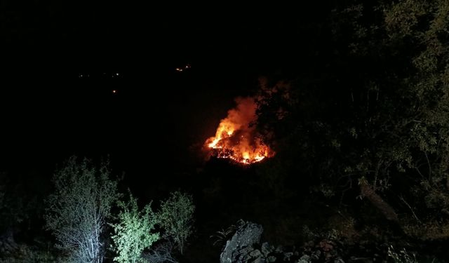 Elazığ'da çıkan örtü yangınına müdahale ediliyor