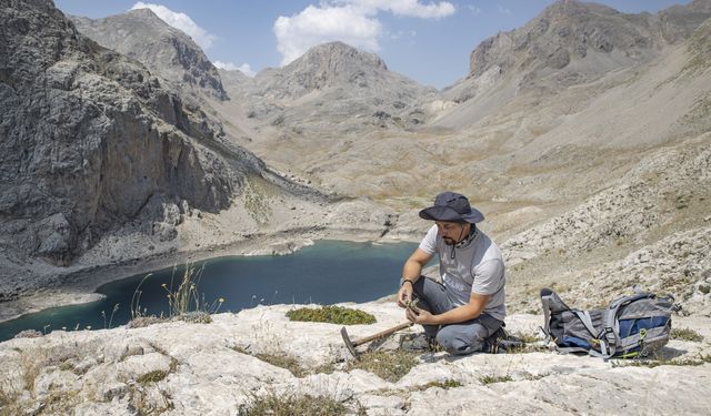Bitkiler için Anadolu'yu gezen akademisyen, Tunceli'de 5 yeni türü literatüre kazandırdı
