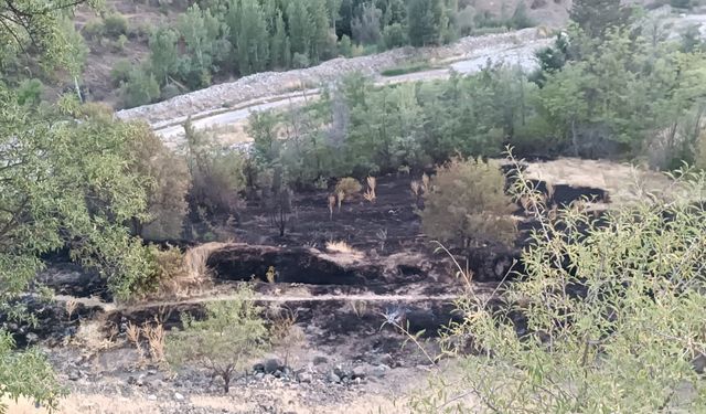 Keban'da otluk alanda çıkan yangın söndürüldü