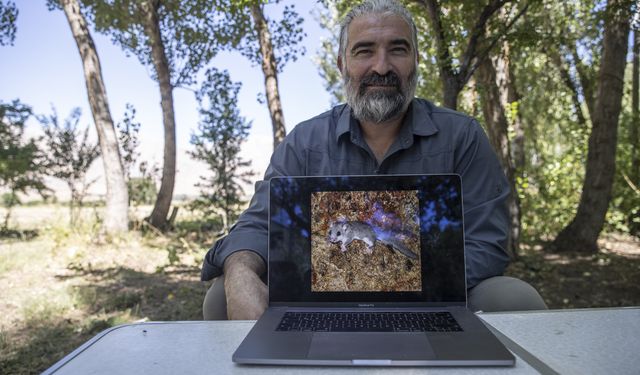 Munzur Dağları'nda yeni yediuyur türü tespit edildi