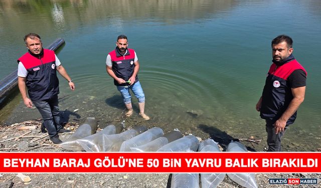 Beyhan Baraj Gölü'ne 50 Bin Yavru Balık Bırakıldı