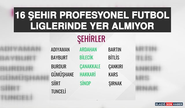 16 Şehir Profesyonel Futbol Liglerinde Yer Almıyor