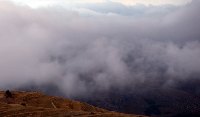 Ardahan'da sis ve sağanak etkili oldu