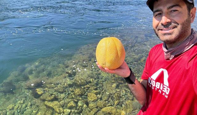Bingöl’de doğa tutkunundan su altında meyve keyfi