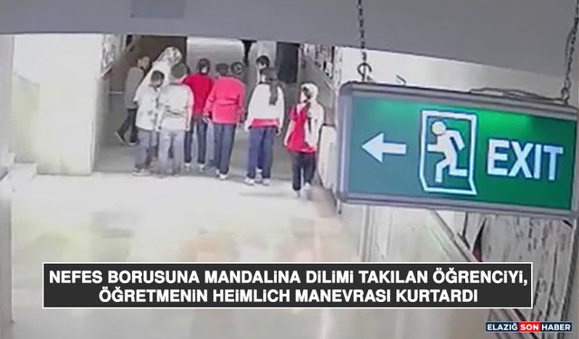 Nefes Borusuna Mandalina Dilimi Takılan Öğrenciyi, Öğretmenin Heimlich Manevrası Kurtardı