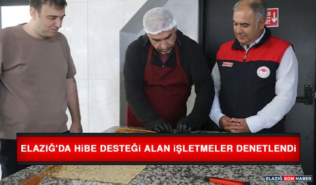 Elazığ'da Hibe Desteği Alan İşletmeler Denetlendi