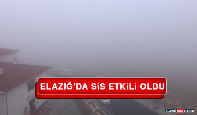 Elazığ'da Sis Etkili Oldu