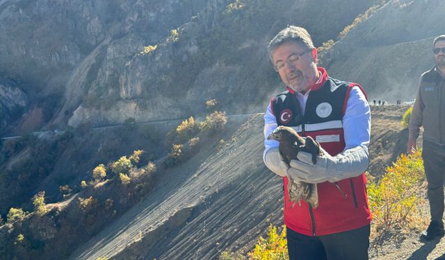 Bakan Yumaklı, Tunceli'de tedavisi tamamlanan yaralı yaban hayvanlarını doğaya saldı: