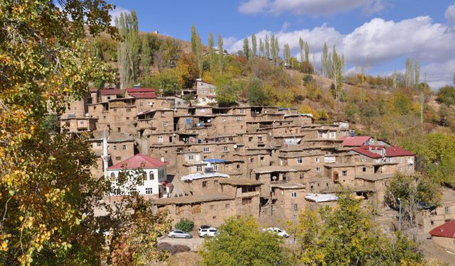 Bitlis Valisi Karakaya, Hizan'daki Uzuntaş köyünü ziyaret etti