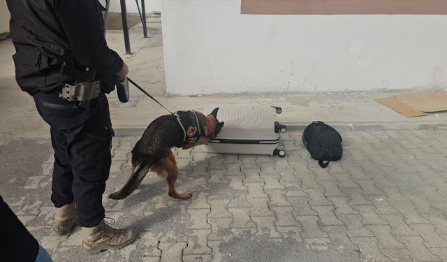 Erzincan'da yolcu otobüsünde takibe alınan zanlının valizinde uyuşturucu hap ele geçirildi