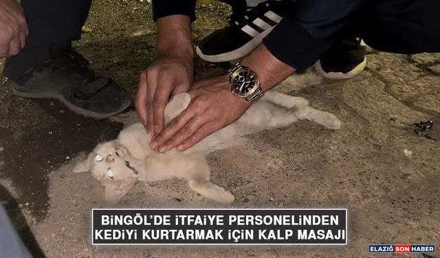 Bingöl’de İtfaiye Personelinden Kediyi Kurtarmak İçin Kalp Masajı