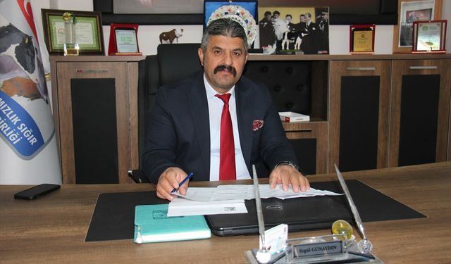 Malatya'da buzağı başına 280 lira ek destek verilecek