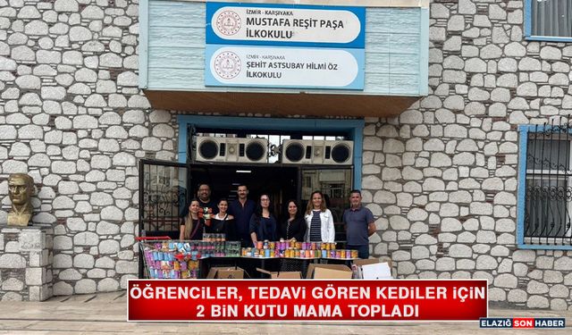 Öğrenciler, Tedavi Gören Kediler İçin 2 Bin Kutu Mama Topladı