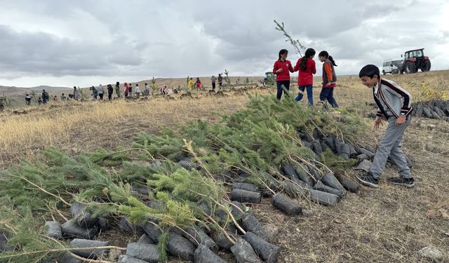 Sigarayı bırakan emekli işçi 'fidan' projesiyle topluma nefes olmaya çalışıyor