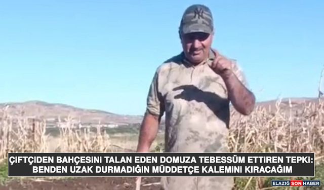 Çiftçiden Bahçesini Talan Eden Domuza Tebessüm Ettiren Tepki: Benden Uzak Durmadığın Müddetçe Kalemini Kıracağım