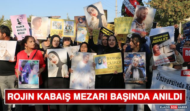 Rojin Kabaiş Mezarı Başında Anıldı