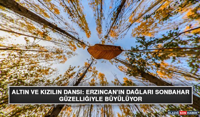Altın ve Kızılın Dansı: Erzincan’ın Dağları Sonbahar Güzelliğiyle Büyülüyor