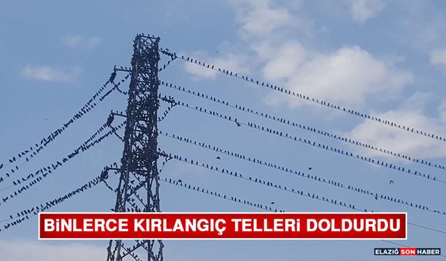 Binlerce Kırlangıç Telleri Doldurdu
