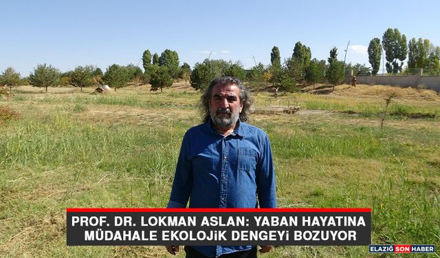 Prof. Dr. Lokman Aslan: Yaban Hayatına Müdahale Ekolojik Dengeyi Bozuyor