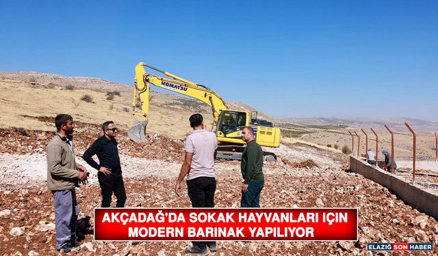 Akçadağ'da Sokak Hayvanları İçin Modern Barınak Yapılıyor