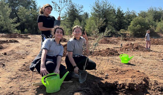Yeniköy Kemerköy Enerji 300 zeytin fidanını toprakla buluşturdu