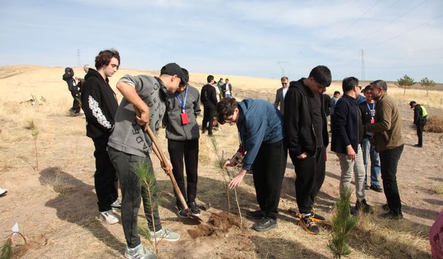 Ahlat'ta Milli Ağaçlandırma Günü'nde fidan dikildi