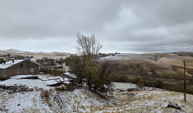Ahlat'ta yüksek kesimlere kar yağdı